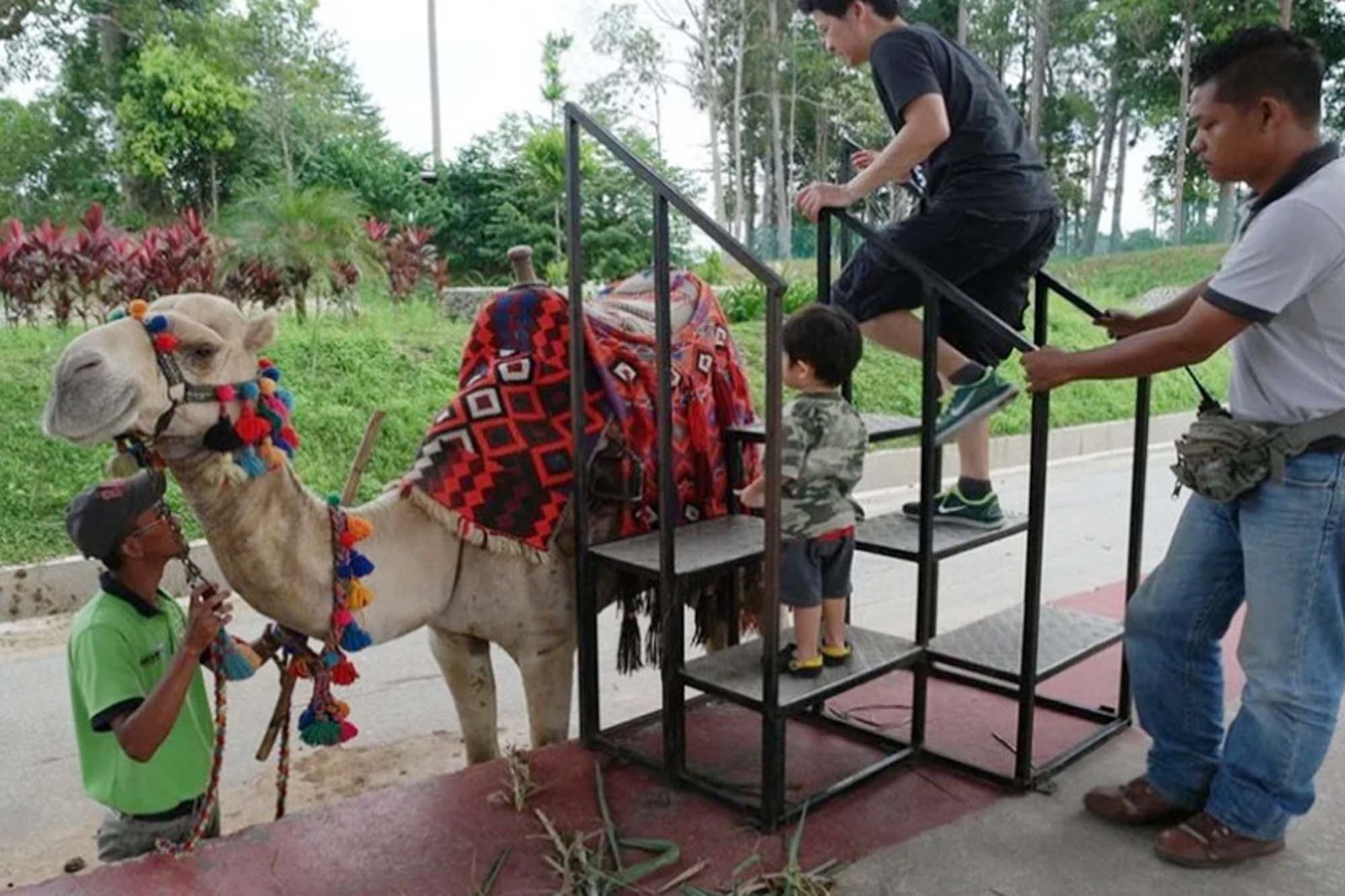 Camel Safari Corbett