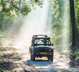 Jhirna Safari Zone Corbett