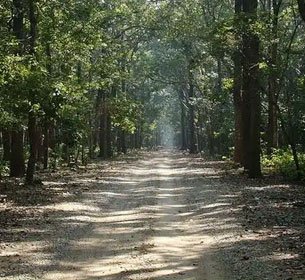 Jim Corbett Adventure Activities