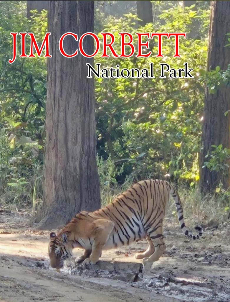 Jim Corbett National Park