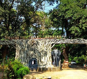 Water Fall Jim Corbett